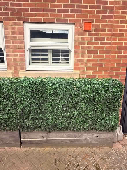 Photo of free Artificial Hedges (Wandsworth Common SW18) #1