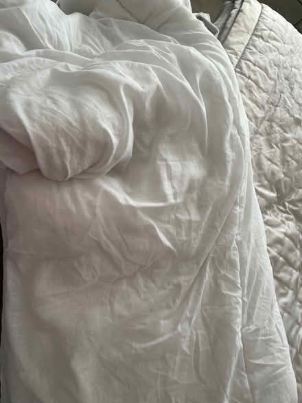 Photo of free Clean cot bed duvet (Bromley BR2) #1