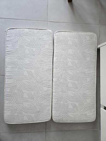 Photo of free Daybed cushions (Twickenham TW2) #1