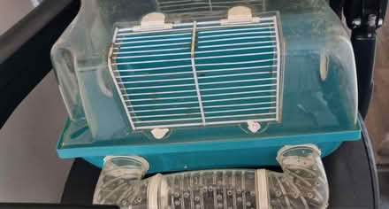 Photo of free Small Hamster/Rodent Cage (Cheshunt EN7) #1