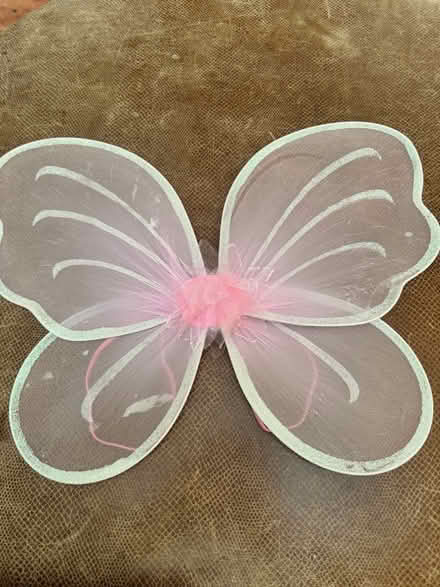 Photo of free Butterfly/Angel Wings (Fiesta gardens) #1