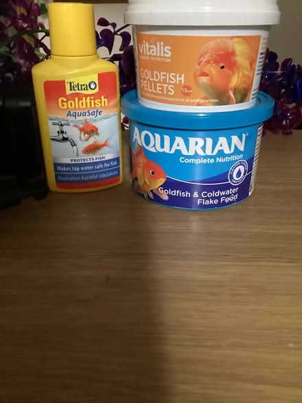 Photo of free Goldfish Supplies (Hythe,) #1