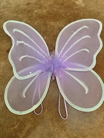 Photo of free Butterfly/Angel Wings (Fiesta gardens) #4