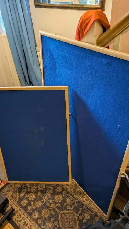 Photo of free Two pin boards (Cutteslowe OX2) #1