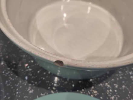 Photo of free Baking dishes (Bexhill old town, TN40) #3