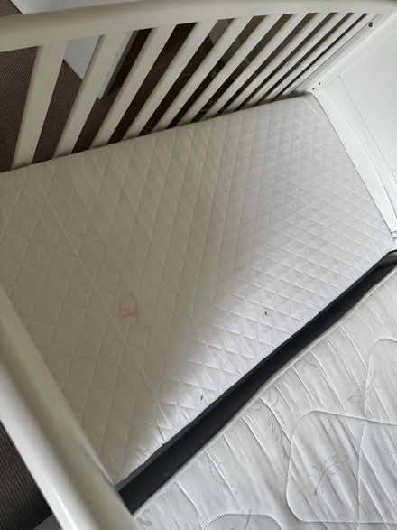 Photo of free Cot bed with mattress (Tooting) #2