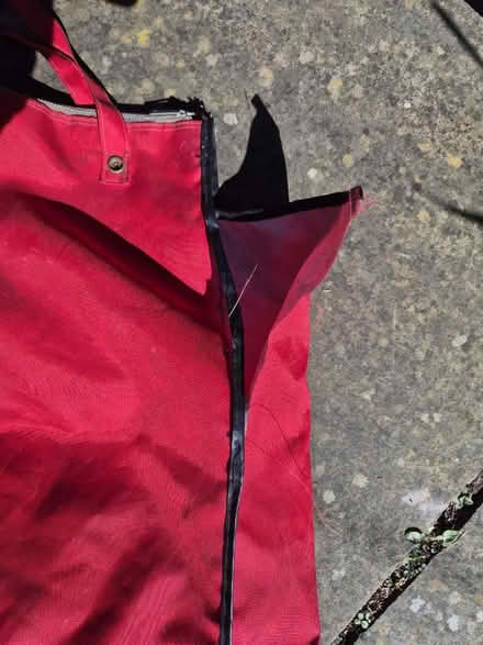 Photo of free Shopping bag on wheels (Sharrow area S11) #3