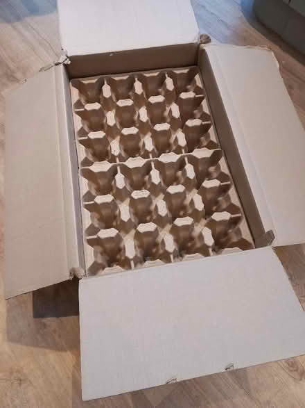 Photo of free Large box with bottle packaging (New Malden KT3) #1