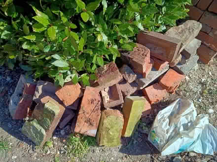 Photo of free RUBBLE - broken paving and bricks (Rowlands Castle PO9) #1