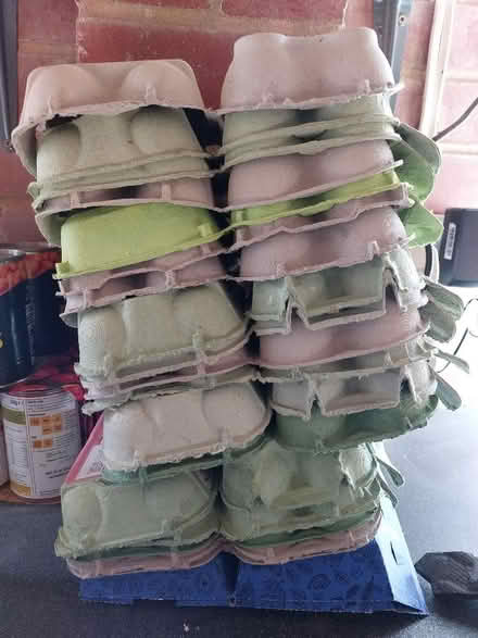 Photo of free Empty egg boxes (St Helens TN35) #1