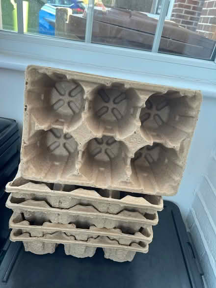 Photo of free Trays for seedlings plants (Worcester park KT4) #2