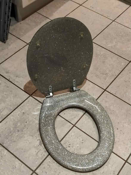 Photo of free Sparkly toilet seat (Maidenhead) #2
