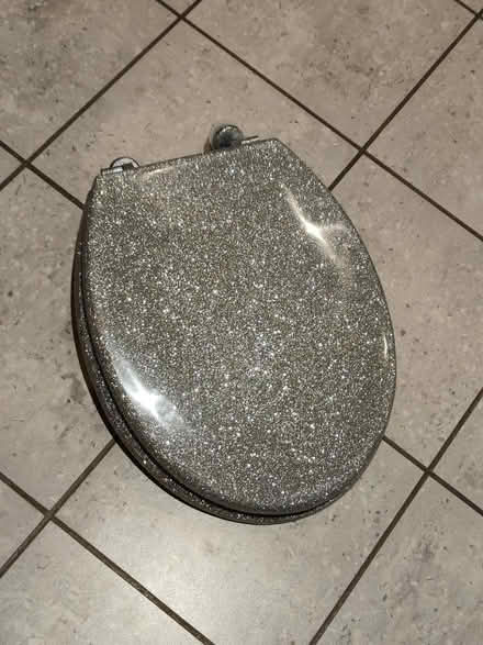 Photo of free Sparkly toilet seat (Maidenhead) #1