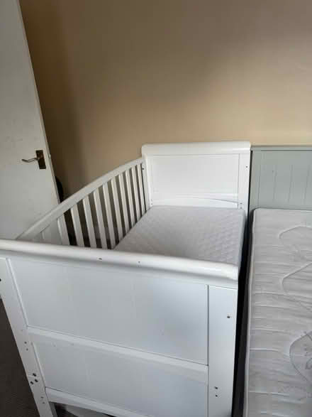 Photo of free Cot bed with mattress (Tooting) #4