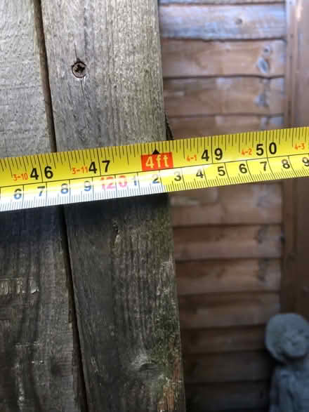 Photo of free Wooden shed (St Leonard’s TN38) #3