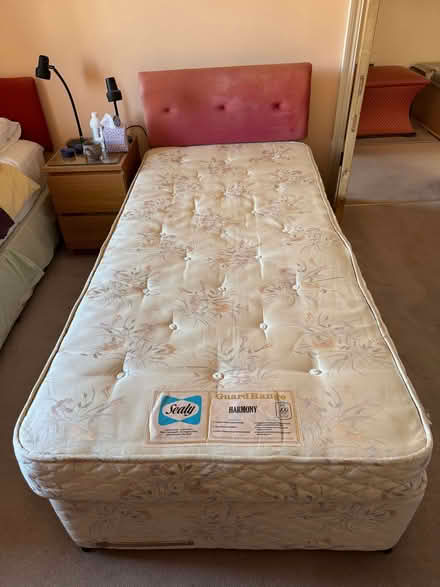 Photo of free Divan bed with Sealy Mattress (Keswick CA12) #1