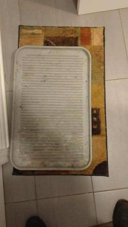Photo of free Shoe mats + small rugs (Finley Creek) #1