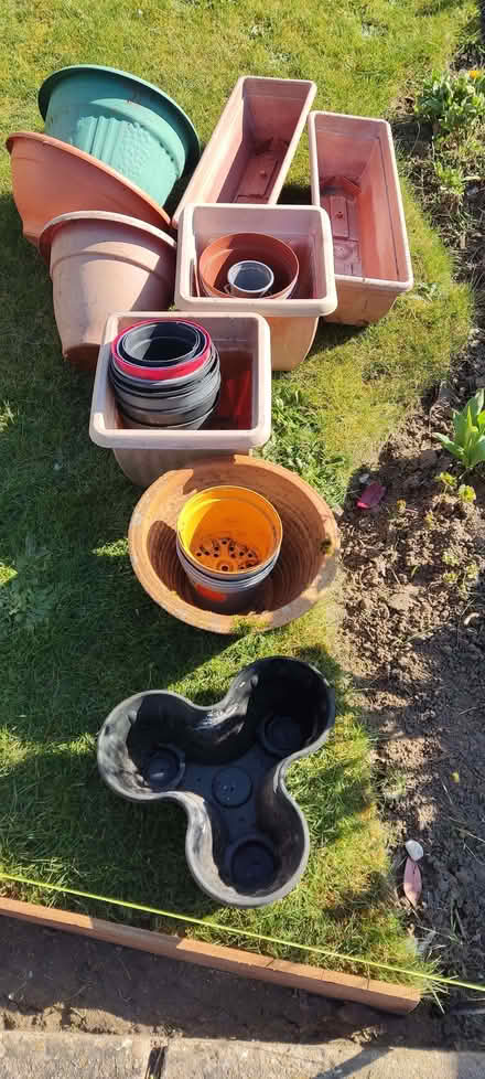 Photo of free Plant pots (Oulton Broad NR33) #2