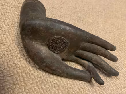 Photo of free Buddha hand? (Greenwood) #1