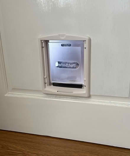 Photo of free Cat-flap (BT15) #3