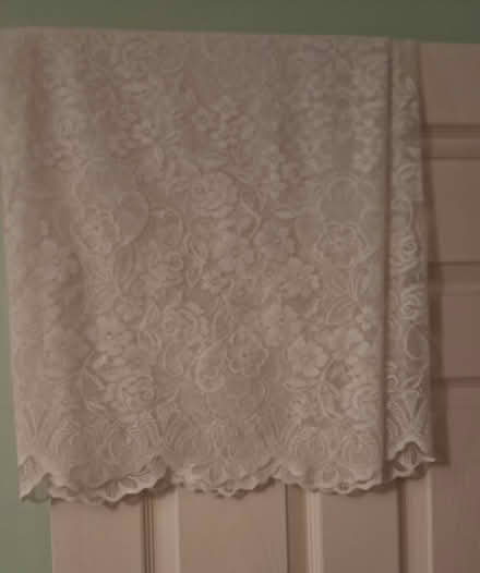 Photo of free Net Curtain (Ditton ME20) #1