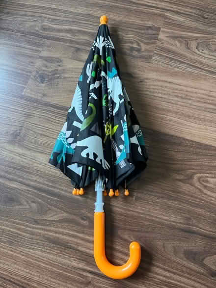 Photo of free Kids dinosaur umbrella (Farnborough GU14) #2