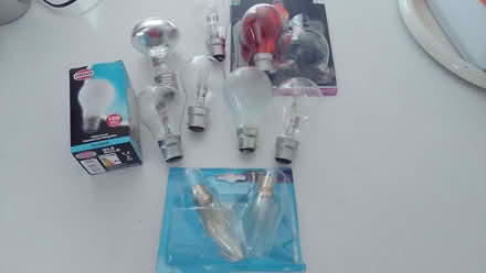 Photo of free Old style non-energy saving bulbs (Abraham Heights LA1) #1
