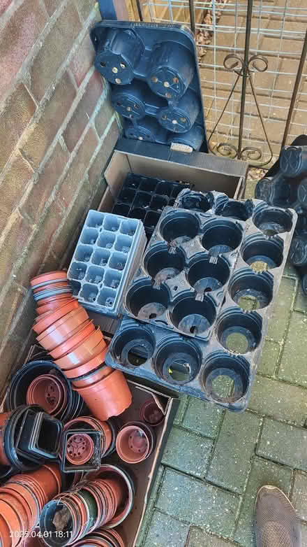 Photo of free Plant pots and seed trays (Guilden Sutton CH3) #2