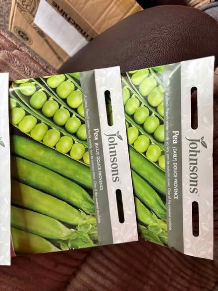 Photo of free Peas seeds (Priory Ward EX2) #2