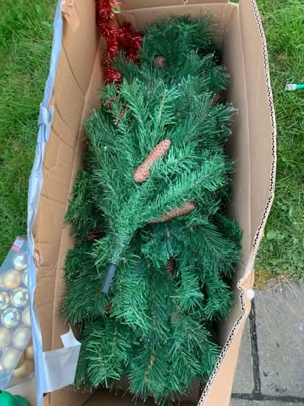 Photo of free Artificial Christmas tree (KT4) #1