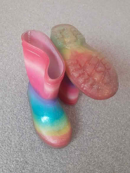 Photo of free Wellies, Size 7 (Panshanger AL7) #1
