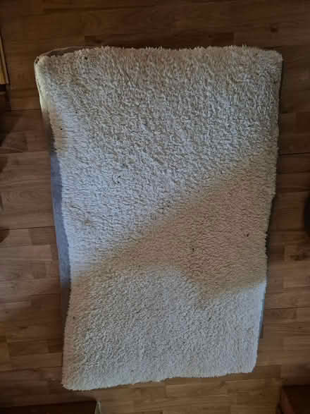 Photo of free Large Dog Bed (Annscroft) #1