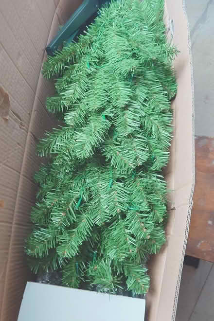 Photo of free Xmas tree Tesco 6 ft (Torquay) #1