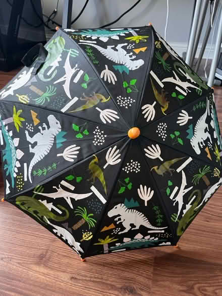 Photo of free Kids dinosaur umbrella (Farnborough GU14) #1