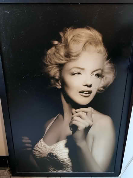 Photo of free Big Marilyn Monroe Picture (Bronx) #1