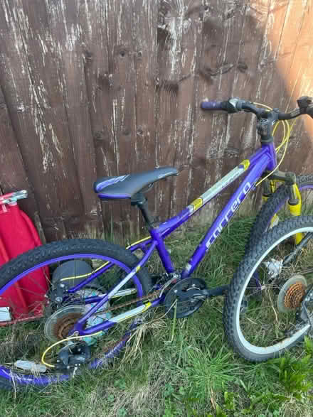 Photo of free Children’s bikes (Basegreen S12) #2
