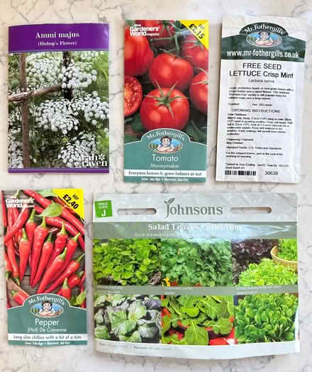 Photo of free Various fruit & veg seeds (East Marden) #1