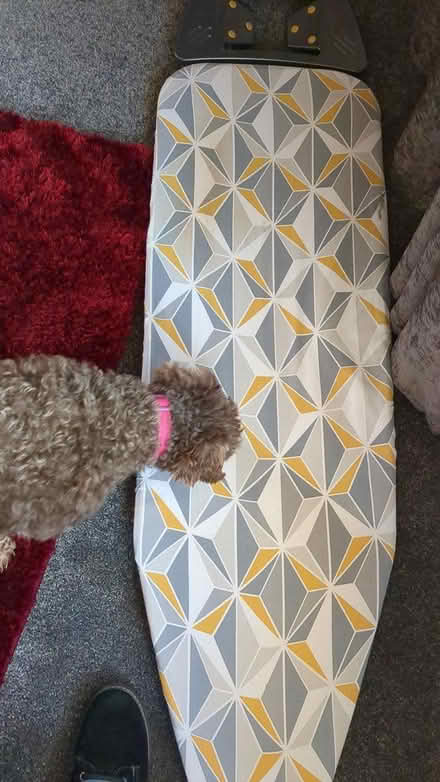 Photo of free Large ironing board (RG21) #1