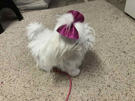 Photo of free Electronic toy dog (Arlington/West Medford line) #1