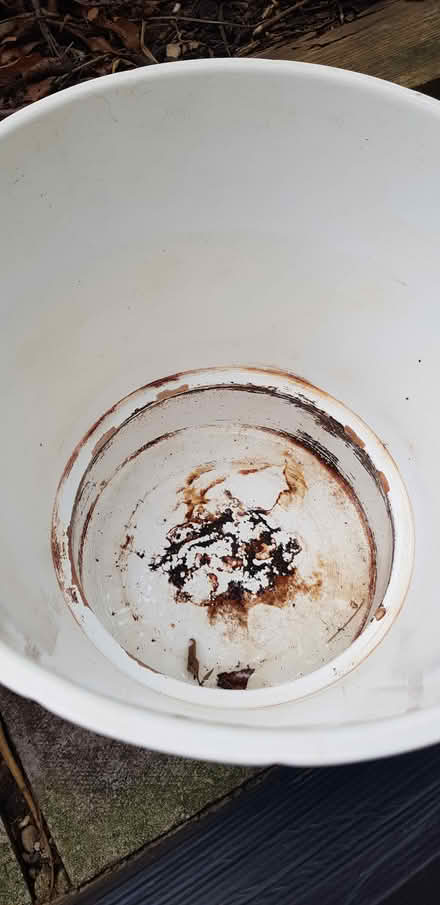 Photo of free White Ceramic Plant Pot (SE15) #2