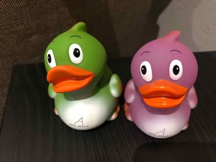 Photo of free Rubber ducks (Forest Hill SE23) #1