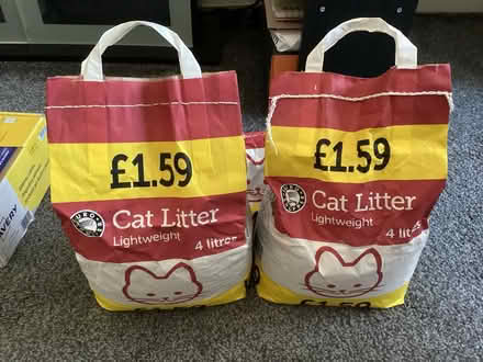 Photo of free 2 x 4 litre bags of cat litter (Bagillt, CH6) #1