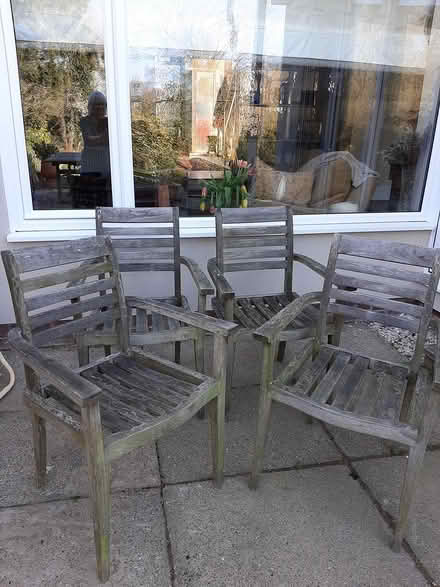 Photo of free Garden chairs (Kenilworth) #1