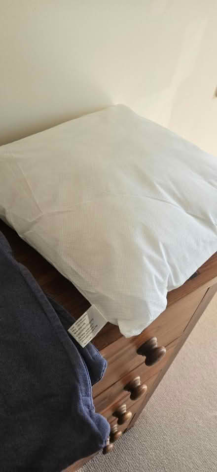 Photo of free 3 cushions and 5 cushion covers (Tower Hill/Shadwell) #3