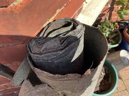 Photo of free Felt for shed roof (West Hill TN34) #2