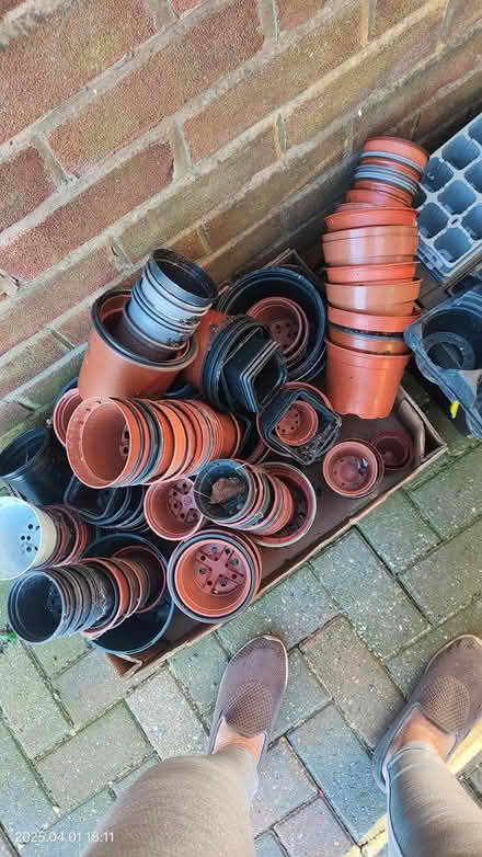 Photo of free Plant pots and seed trays (Guilden Sutton CH3) #1