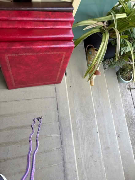 Photo of free Photo album cover (2200 block of Roosevelt berk) #1