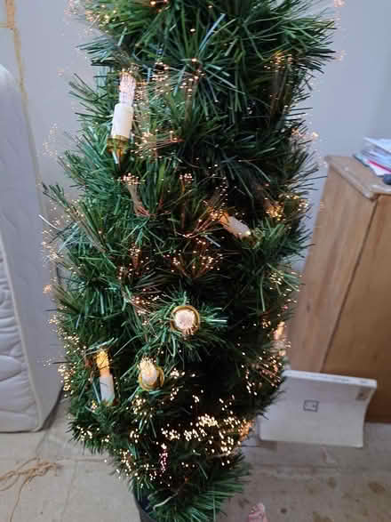 Photo of free Fibre optic Xmas tree (Torquay) #1