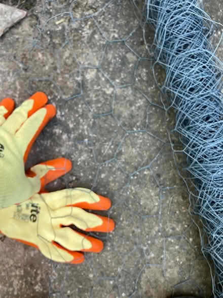 Photo of free chicken wire + mesh (Exwick) #1