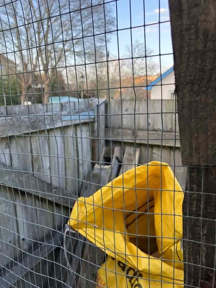 Photo of free chicken wire + mesh (Exwick) #2